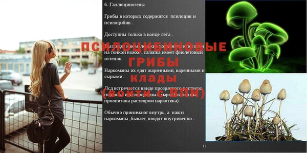 каннабис Гусиноозёрск