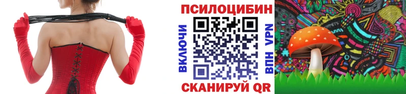 Галлюциногенные грибы Magic Shrooms  Жердевка 